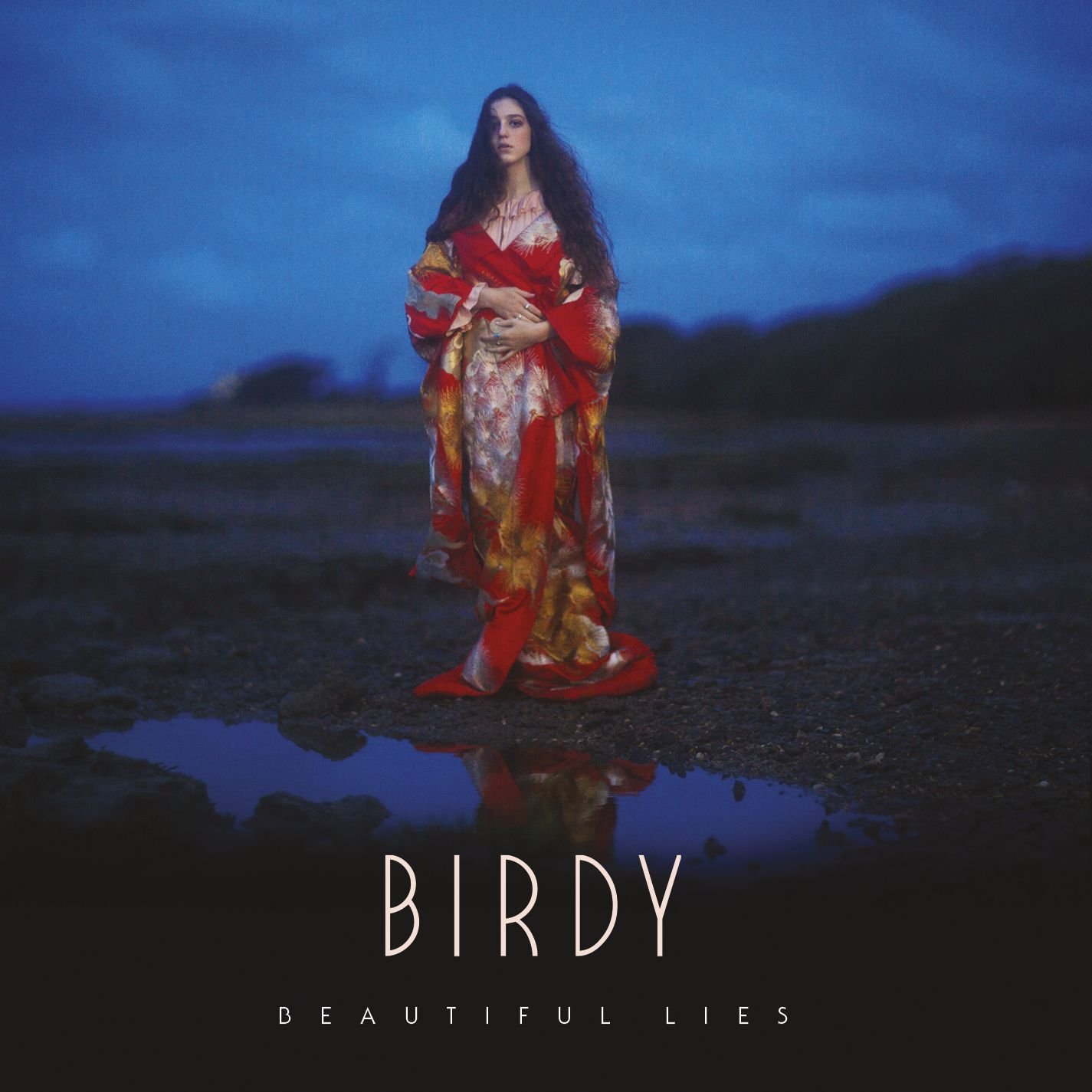 Birdy Beautiful Lies アナログレコード Beautiful Lies | Amazon.com.br