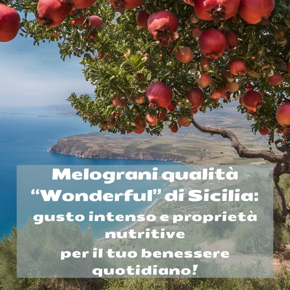 Succo di Melograno Bio 100% Puro - Bag in Box da 2 Litri - Qualità Wonderful - Made in Italy - Senza Zuccheri Aggiunti, Naturale, Antiossidante – Paracelsus.Farm