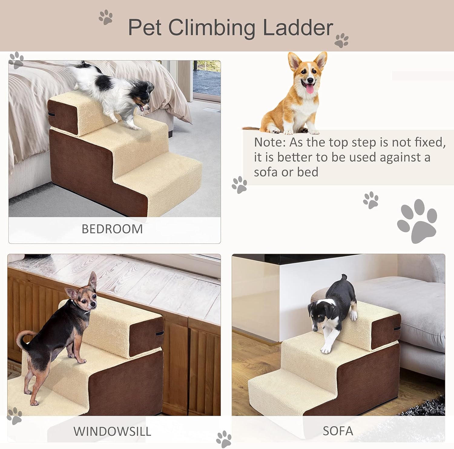 Can 3 Legged Dogs Climb Stairs