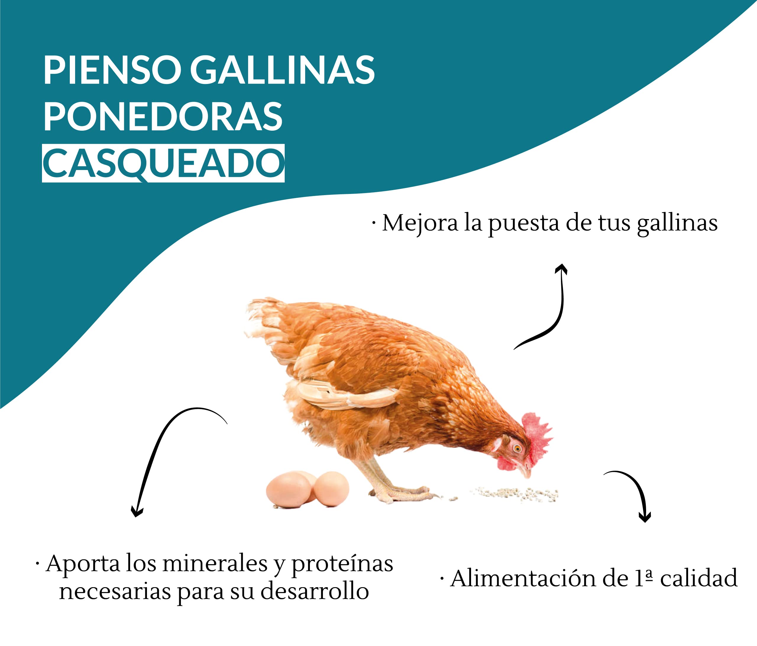 Pienso Gallinas Ponedoras Casqueado, Saco 30 kg