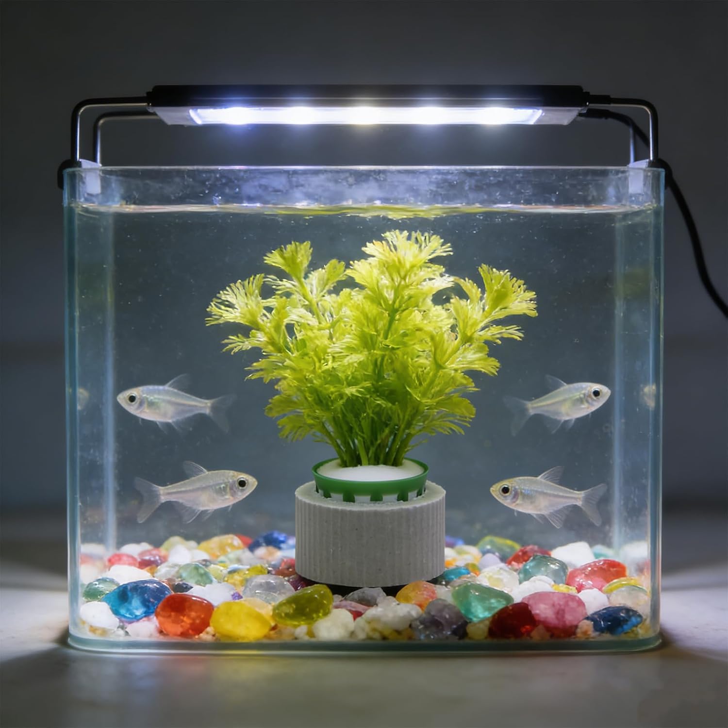 12 Set New Upgrade Aquarium Plant Weights, Anti-Floating Ceramic Water Grass Planting 3-Piece Set, Aquarium Landscape Decor for Fish Tank/Aquarium Accessories image 4