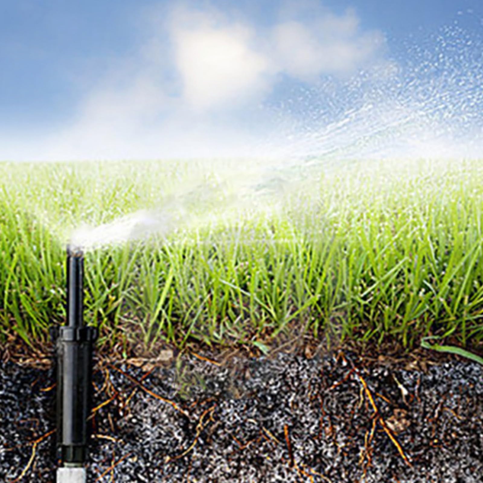 Irrigatore per prato, irrigatore per giardino, 1/4 punti, irrigatore, irrigatore per prato, per doccia da giardino e di irrigazione