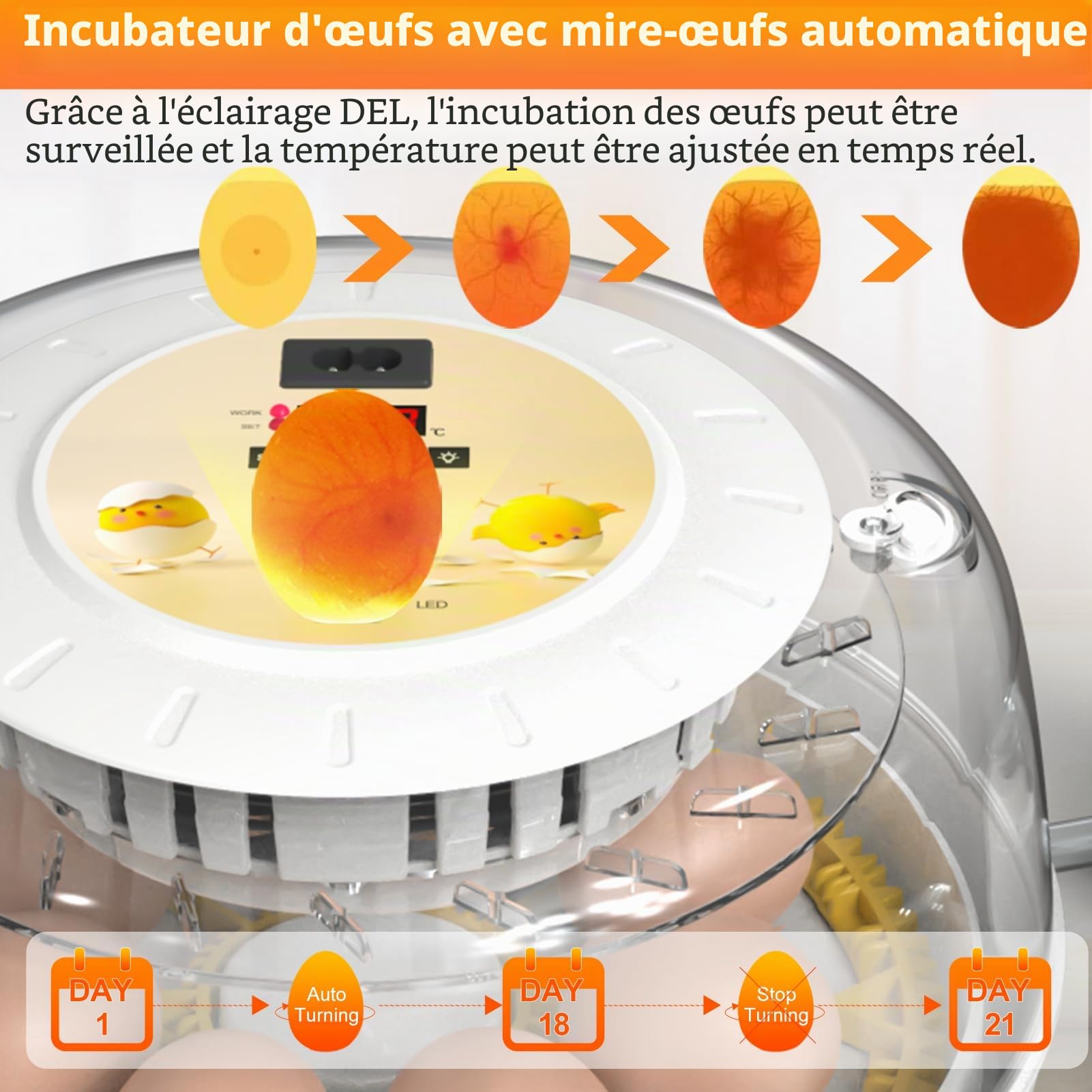 Couveuse Oeuf Automatique, Couveuse Poussin, Incubateur Oeuf automatique avec Retourneur d'œufs, Recharge d'eau externe automatique, Ajout Automatique d'eau et Éclairage des Œufs - 8 œufs