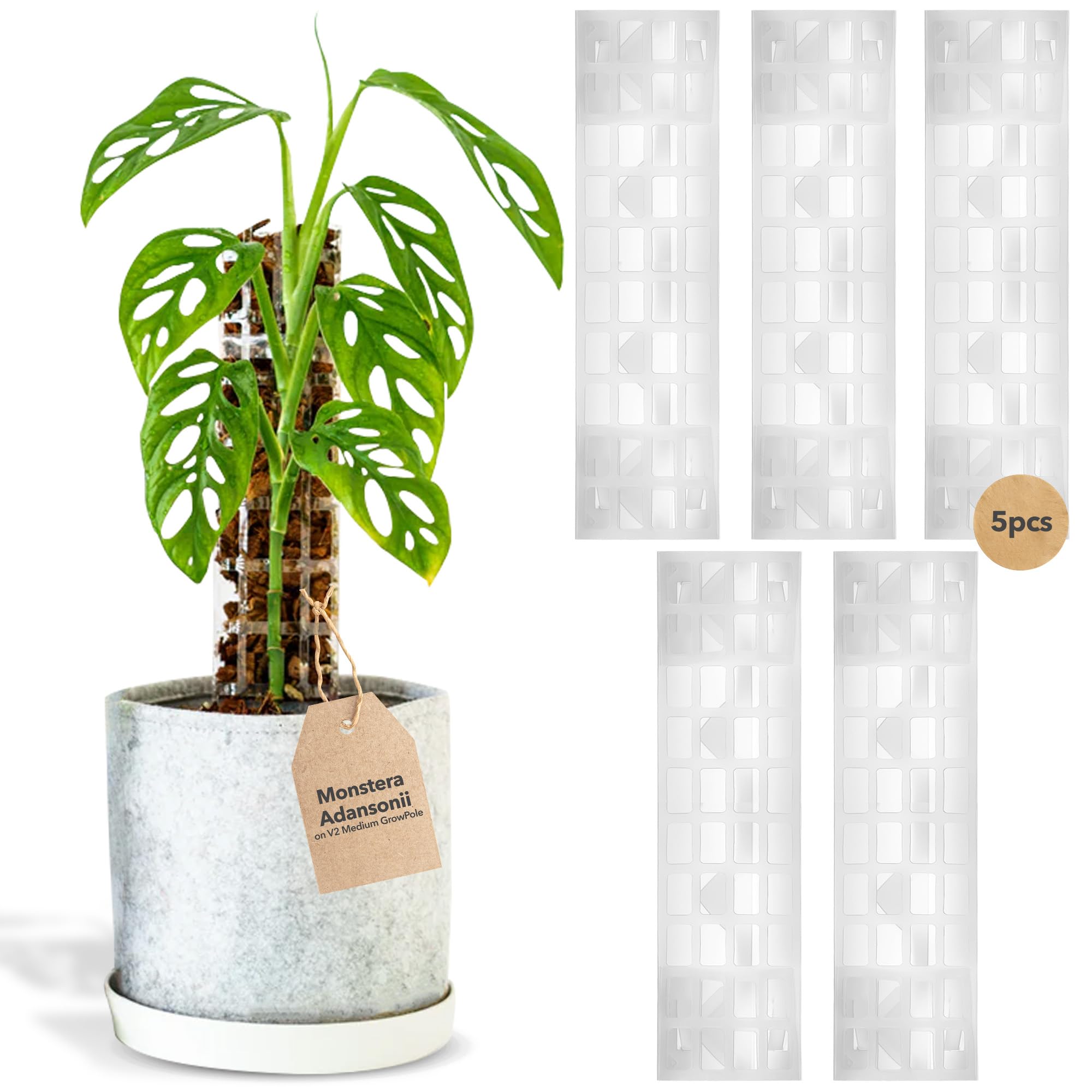 Thiccly Clear V2 Growpole - The Original D-Shaped Moss Pole Monstera Support, Extendable Moss Poles For Climbing Plants Ideal For Philodendrons And Anthuriums - Stackable Poles For Plants (Medium)