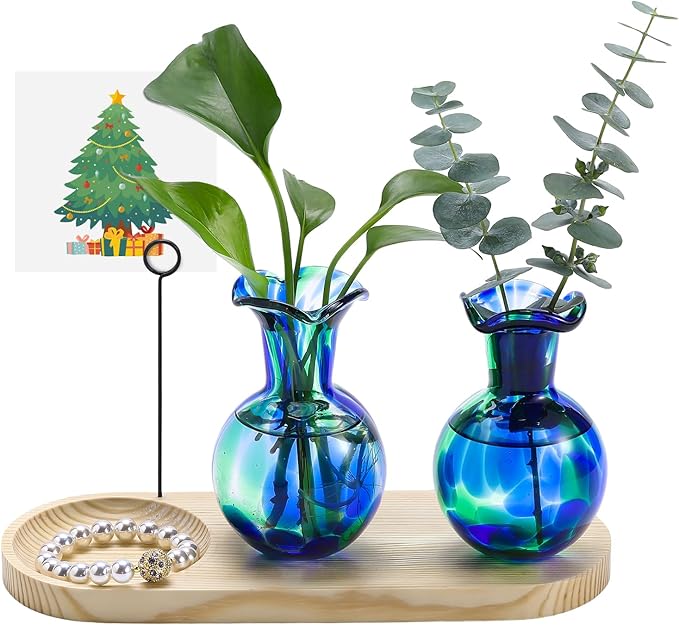 Hand Blown Glass Plant Propagation Stations Plant Terrarium Wooden Stand for Hydroponic Plants Combine Jewelry Tray and Photo Holder Office Home Garden Decor - 2 Bulb Glass Vases