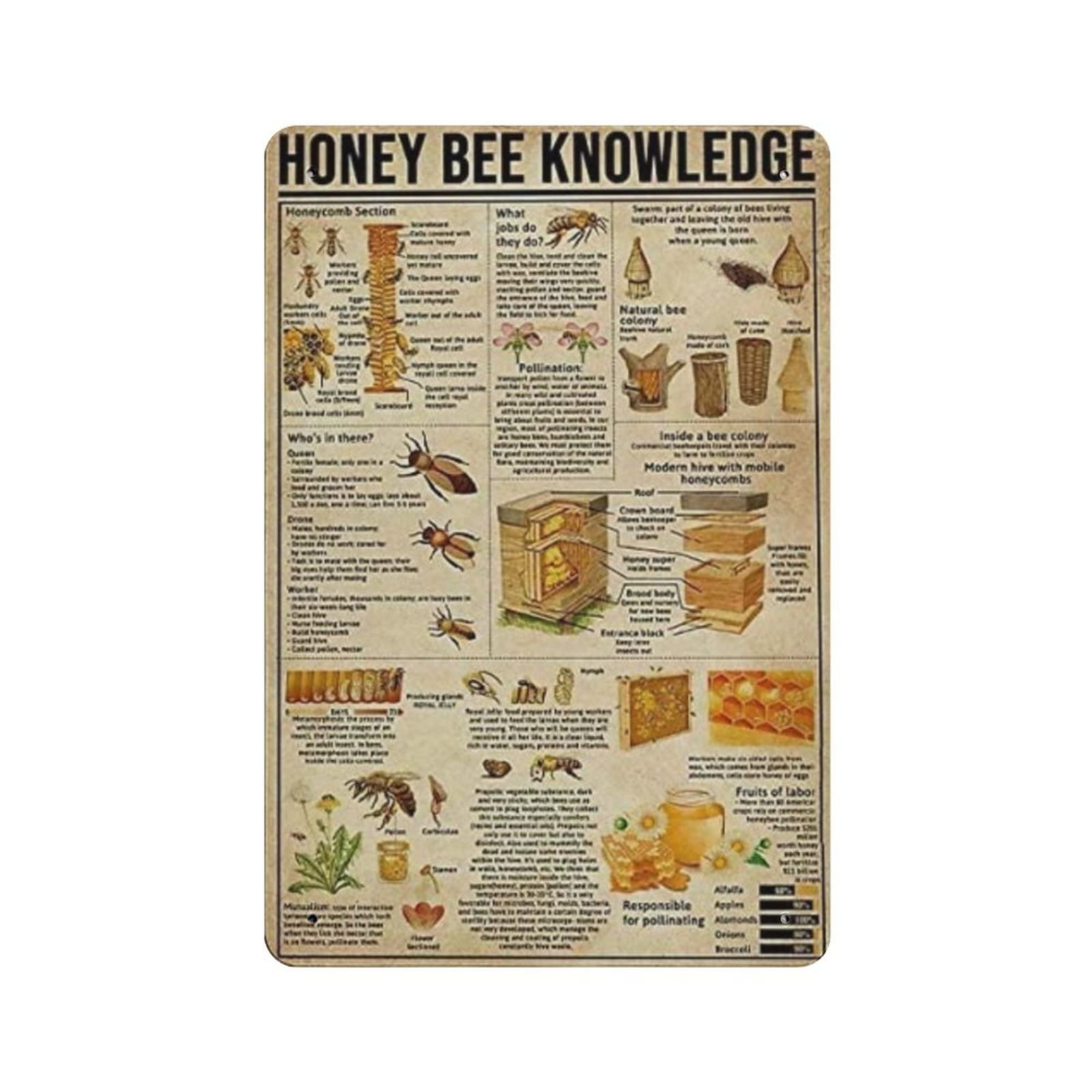 AOOEDM Honey Bee Knowledge Metal Tin Signs for Man Cave Funny Art Wall Plaque Kitchen Bar Sign Coffee Shop Garage Wall Decor Hanging Decor