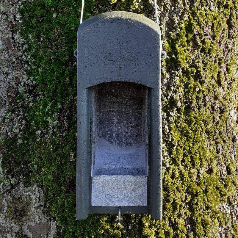 Fledermaus-Kuppelhöhlel aus Holzbeton - Sommerkasten für Fledermäuse - Winternisthöhle für Fledermäuse - Winterquartier - Sommerquartier