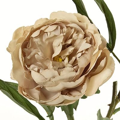 Amazon 東京堂 造花 ダークベージュ 花径11 L70cm Magiqブランド コンフォートピオニー Fm 013 造花 オンライン通販