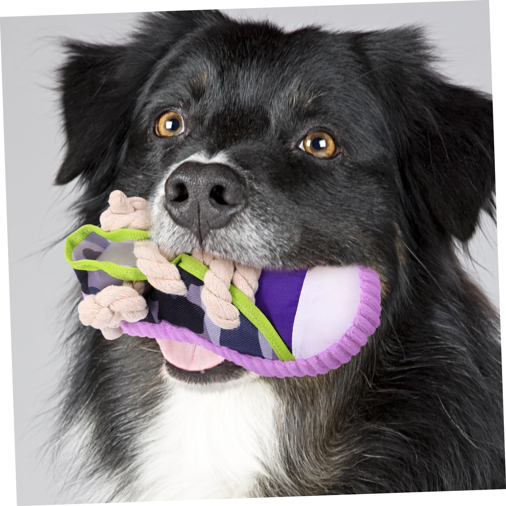Juguete para Perros Pequeño Forma de Zapato, Masticable y Chirriante, Material Resistente y Seguro, Tamaño Compacto, Adecuado para Limpieza Dental y Entretenimiento de Cachorros