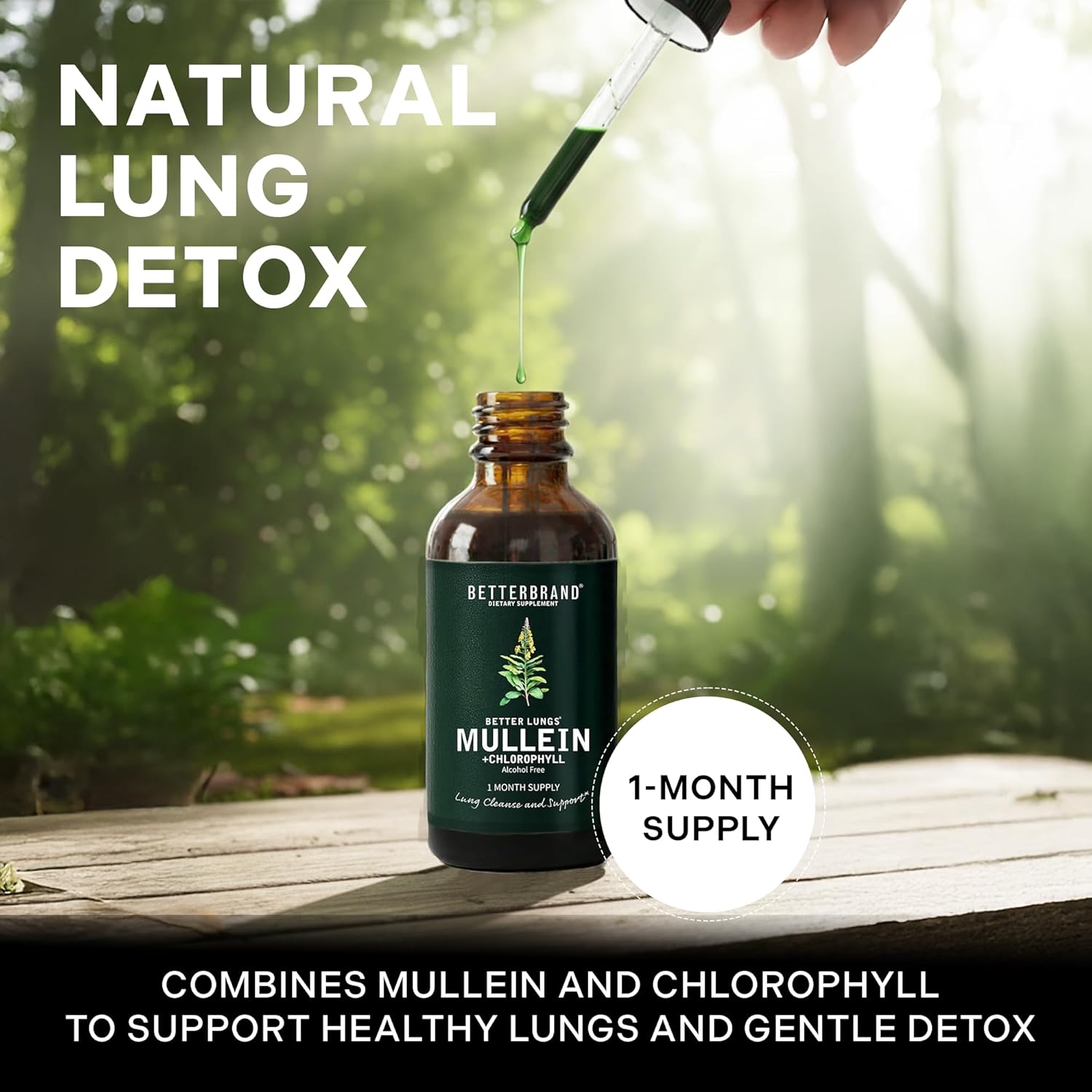 Betterbrand Mullein Drops for Lung Detox - Mullein Leaf Tincture with Chlorophyll - Helps Support Respiratory Health, Alcohol-Free, 1 Month Supply - 60ml - Image 3