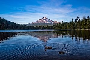 Picturesque Mount Hood Wall Art