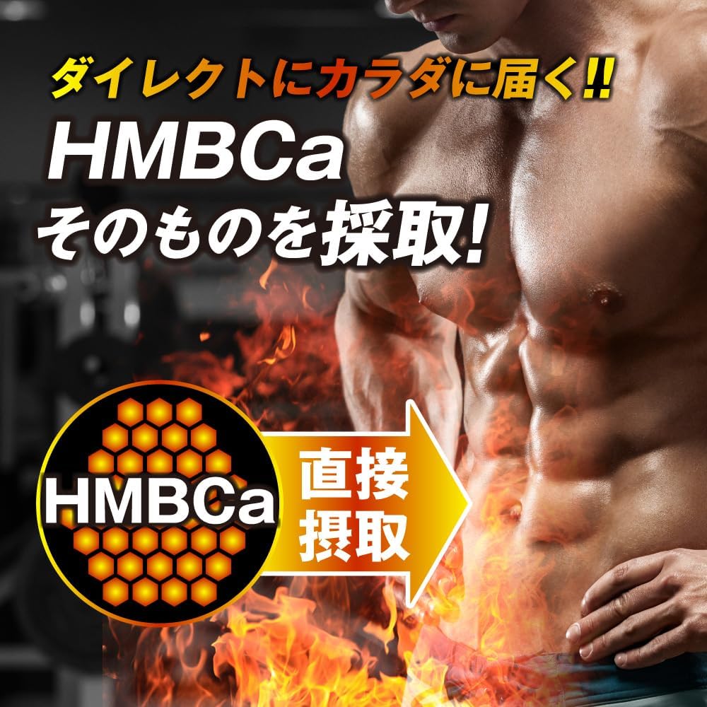 Amazon.co.jp: マーチンアップ HMB クレアチン グルタミン 