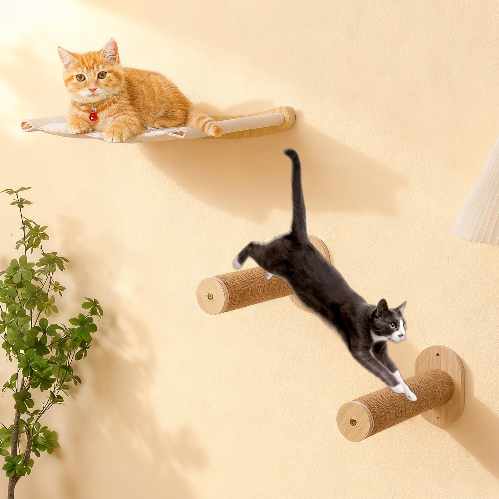 Pared de escalada para gatos, hamaca para gatos con 2 escaleras para gatos, hamaca de madera, muebles de pared para dormir, escalada y juegos