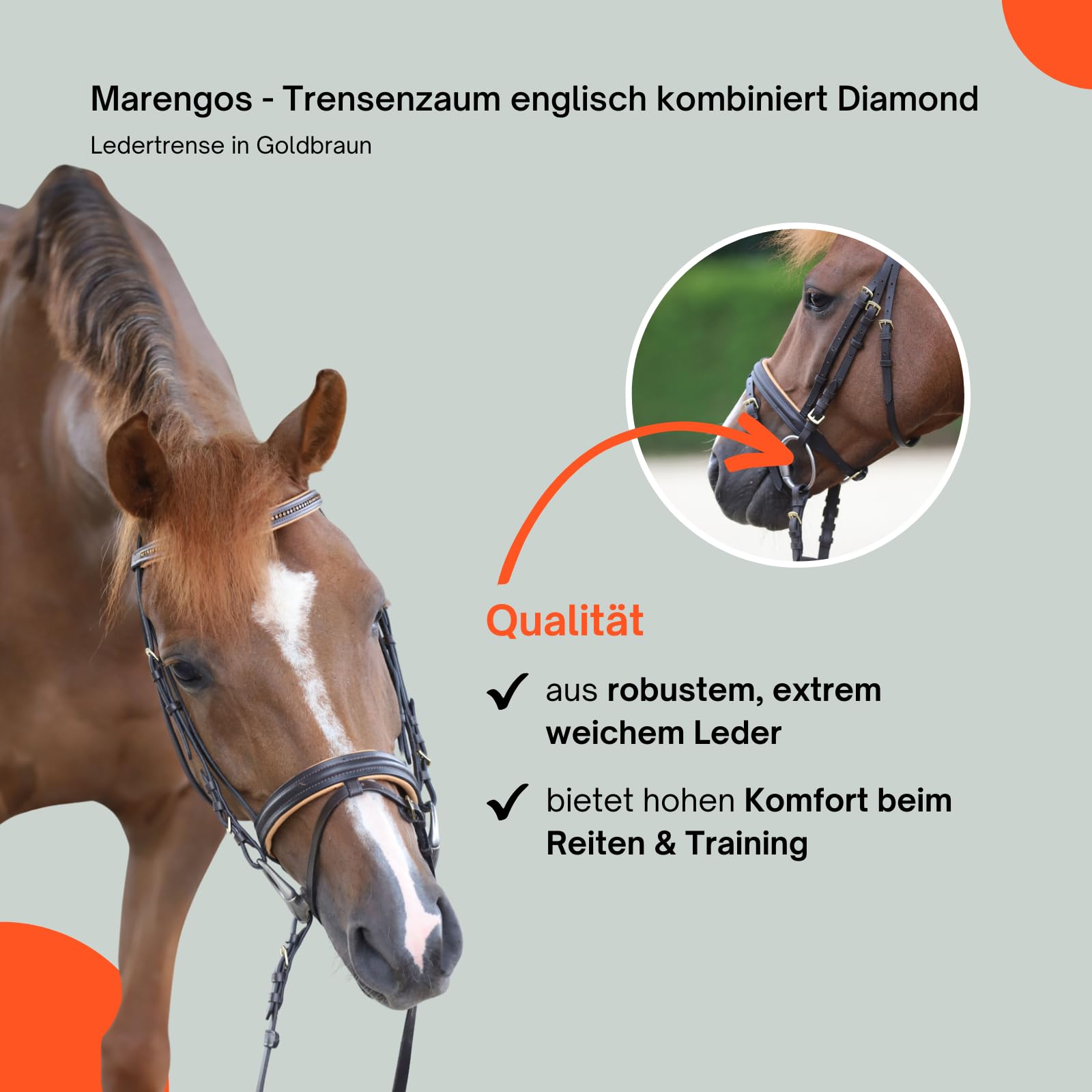 Marengos - Trensenzaum englisch kombiniert Diamond Braun/Gold Pony