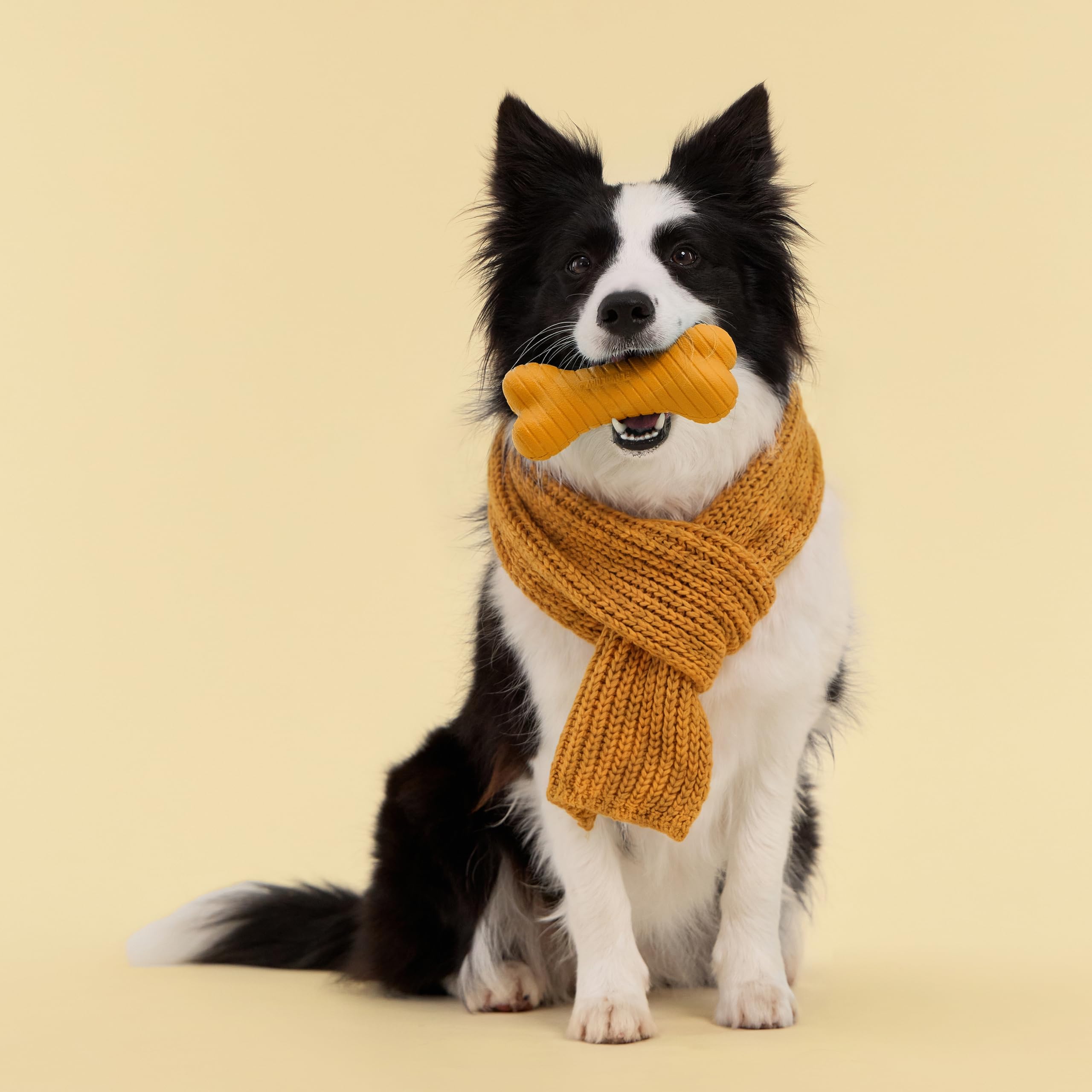 Playology Hundespielzeug, zweilagiger Knochen, langlebiges Kauspielzeug für Hunde, Jumbo-Kürbis-Gewürz-Duftspielzeug, leicht zu reinigen und aus ungiftigen Materialien hergestellt