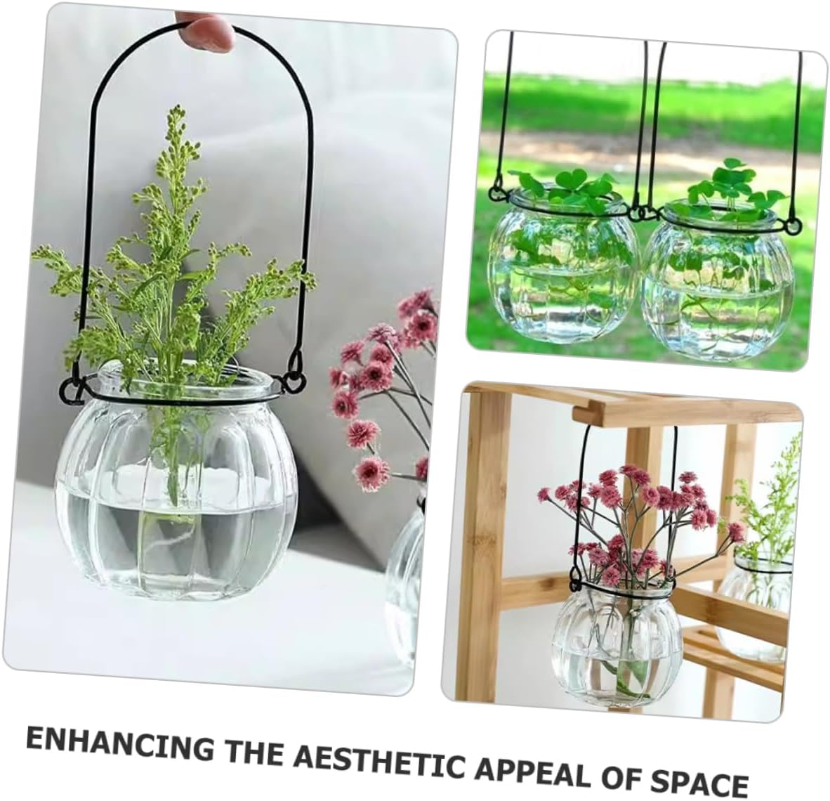 6Pcs Clear Glass Wall Hanging Planters Hydroponic Vases for Indoor Plants Stylish Wall Mounted Flower Pots for Home and Office Decor for Air Plants