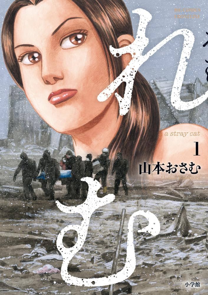 山本おさむ作品 天上の弦 全10巻初版セット 山本おさむ バイオリン制作漫画