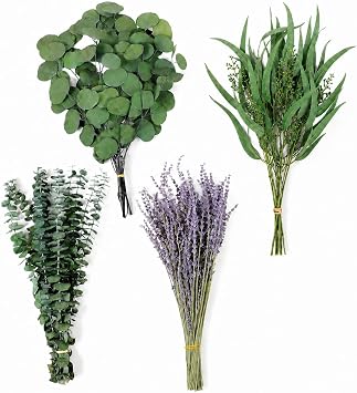100 Pcs Dried Eucalyptus Stems & Lavender Flower for Shower, 17
