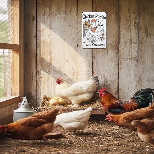 Miniatura 5 de Cartel divertido de pollo con texto en inglés "Chicken Raising Jesus Praising", letrero de lata vintage para el hogar, granja, gallinero, cocina,