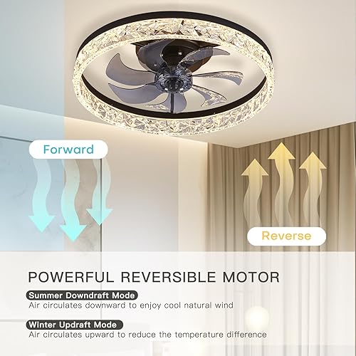 Miniatura 4 de STERREN Ventilador de techo de cristal con luz, ventiladores de techo modernos de perfil bajo de 19.7 pulgadas con control remoto, ventilador LED de