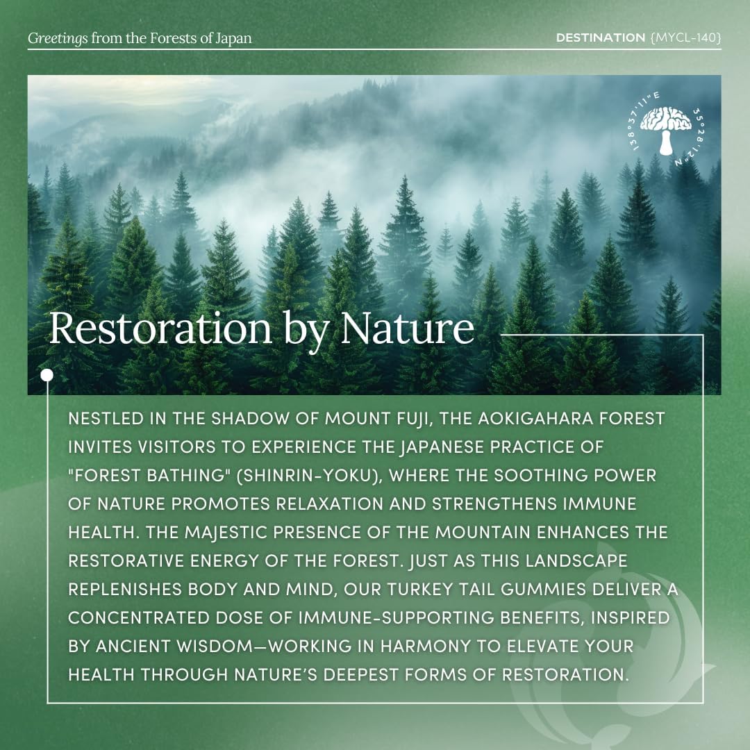 MYCL Restore Turkey Tail Mushroom Gummies for Adults and Kids, 500mg Whole Fruiting Bodies - TurkeyTail Mushroom Supplement - Vegan, Gluten Free - Fuji Apple 60 Count - Image 7