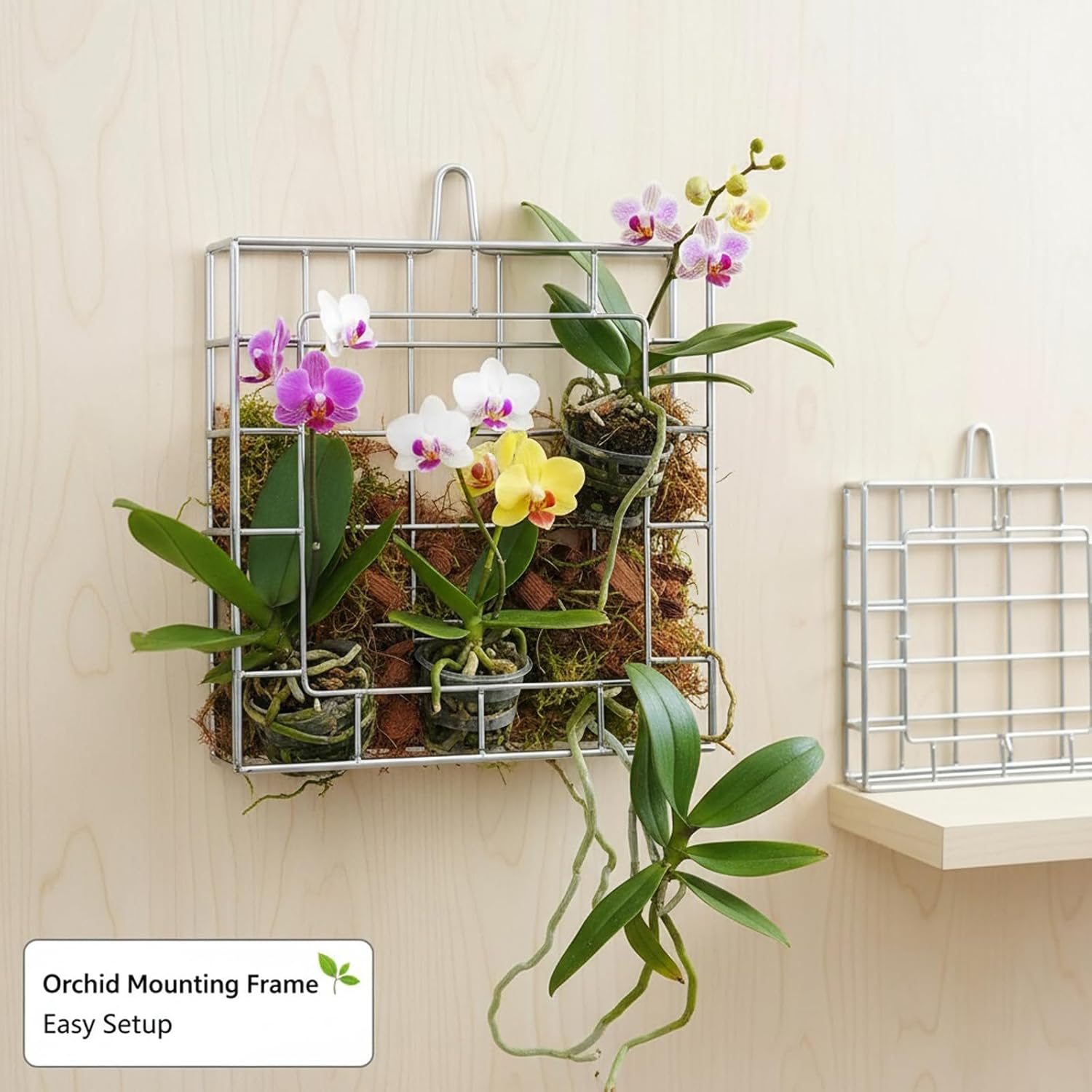 Staghorn Fern Mount Kit - Rustproof 304 Stainless Steel Vertical Hanging Basket for Orchids & Outdoor Plants, Wall Planter Holder Indoor Garden (10.6 x 10.2 x 1.96 Inch)