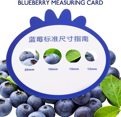 Miniatura 2 de GANAZONO Berry Diámetro Medidor de Diámetro de Fruta Círculo de medición 12pcs Blueberry Tarjeta de Medición Conjunto