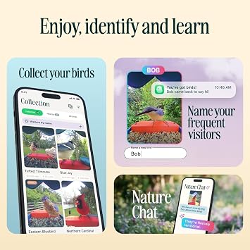 Birdbuddy PRO Smart Bird Feeder with Camera - AI Bird Species Identification, 5MP Photos, 2K HD Video Live Stream Camera, Slow-Motion Video, 2.6in Focus - Blue