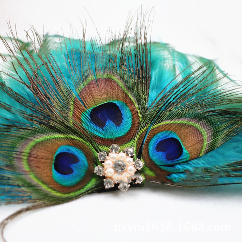 ? peacock feather veil netting hair clip il_1080xN.6142248766_na2t.jpg main image 2