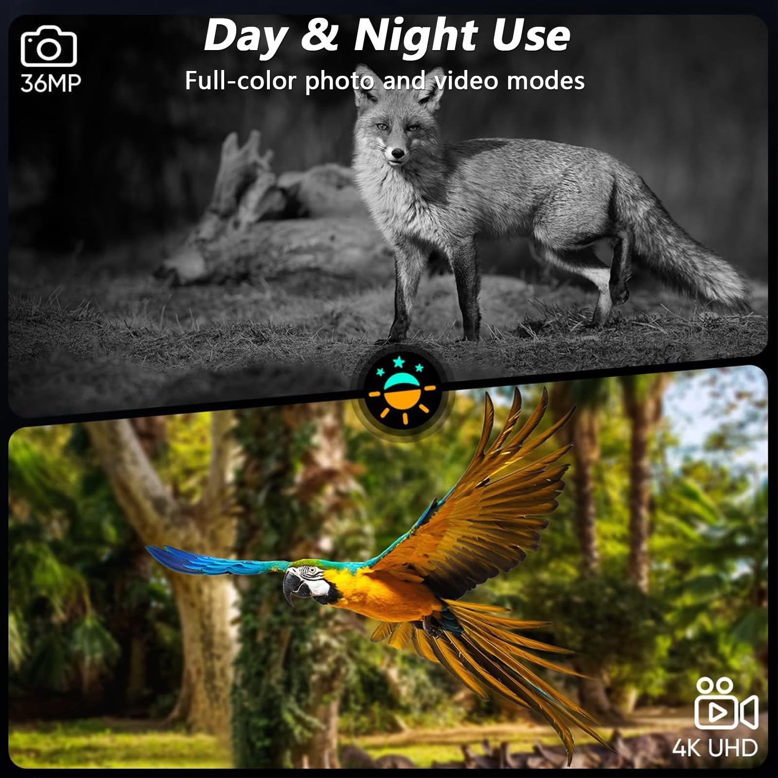 Prismáticos de visión nocturna, pantalla HD, recargable, zoom digital 8X, rango de visión de 400 m, grabación de video 4K, infrarrojos para observación de vida silvestre