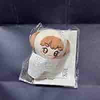 RIIZE ショウタロウ　10cm ぬいぐるみ　新品　マスター RIIZE ショウタロウ ぬいぐるみ 10cm 新品 マスター - メルカリ