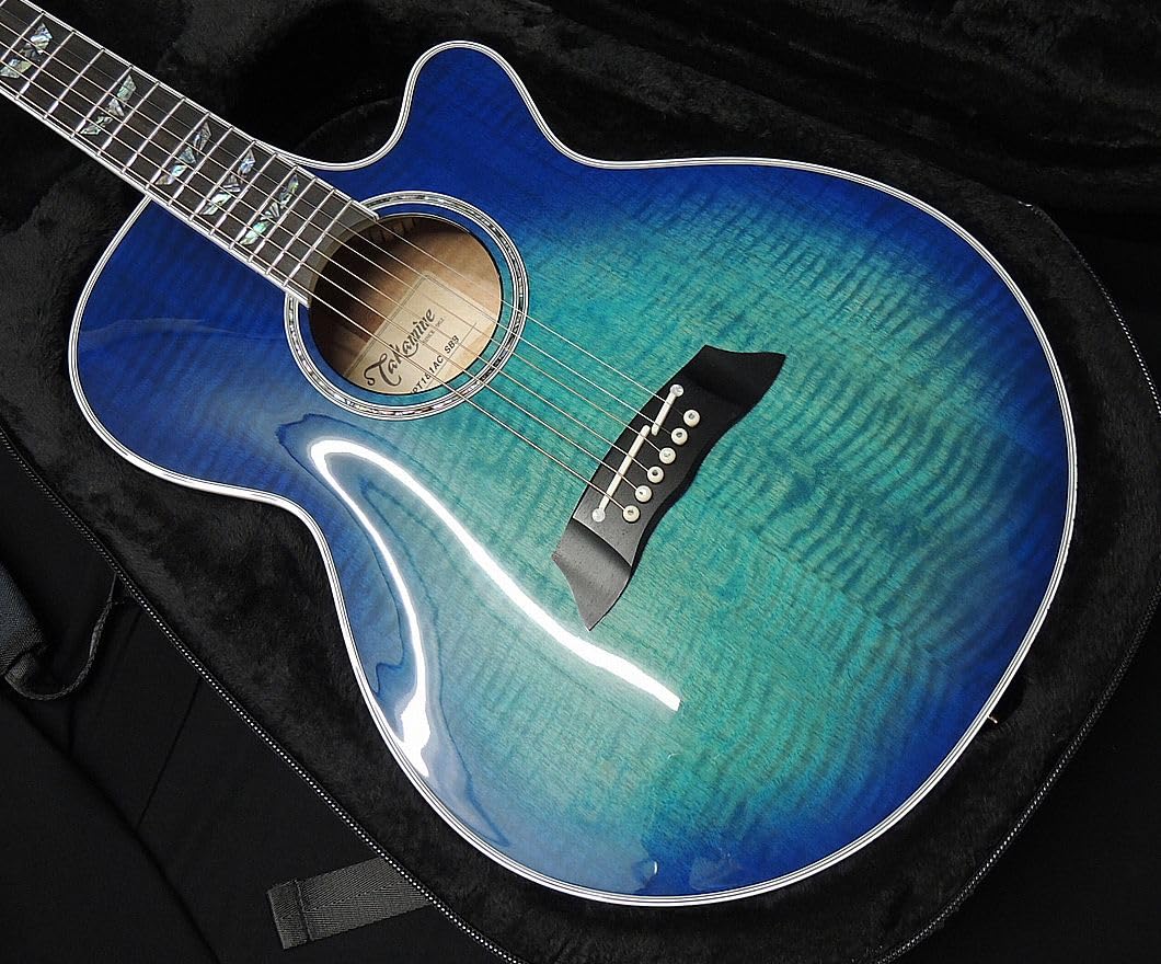 Amazon | Takamine FPT181AC SBB タカミネ アコースティックギター