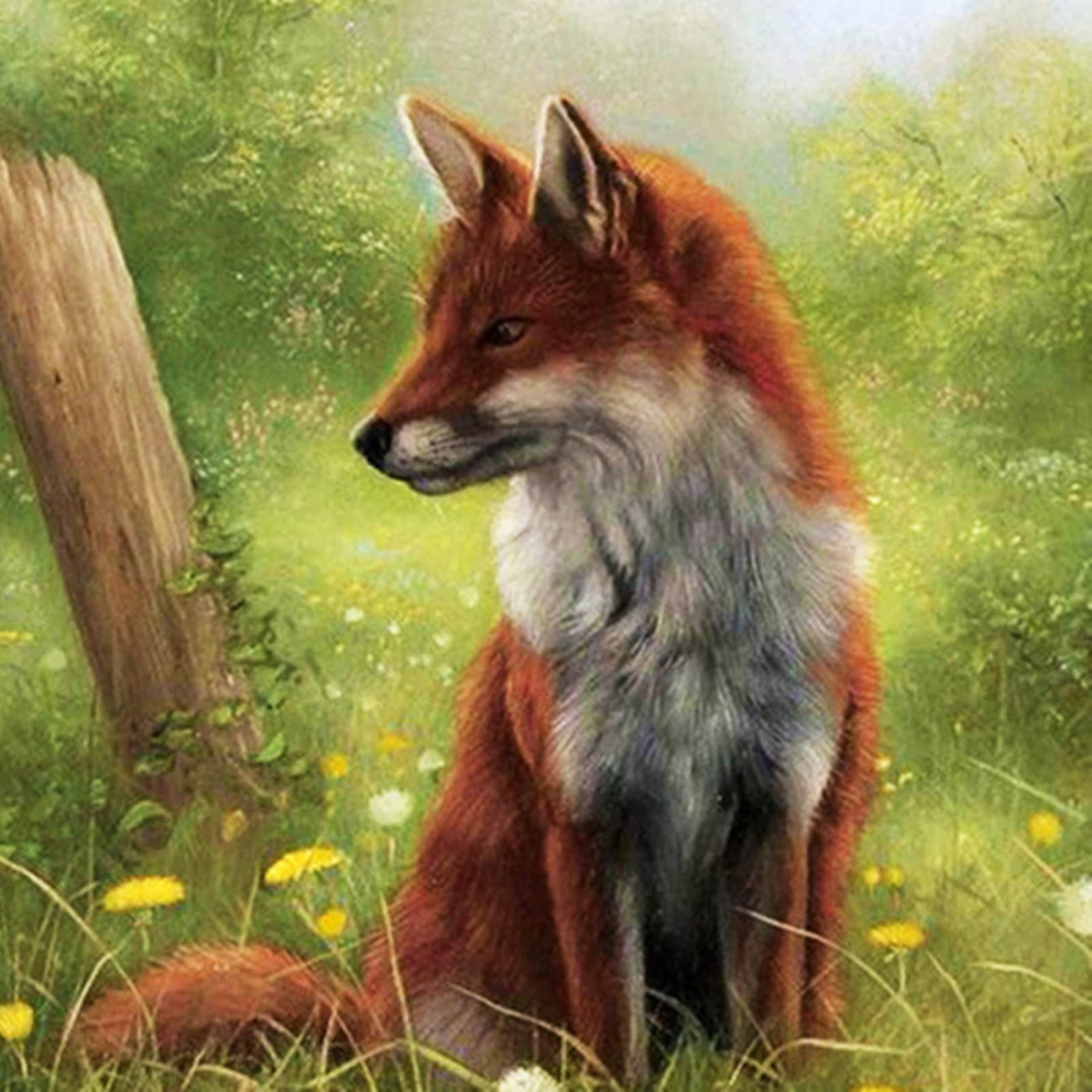 Puzzle en bois pour adultes 520 pièces : votre pause détente avec le renard WYDMA