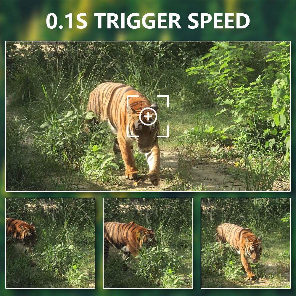 48MP 4K 30fps Wildlife Camera with Mobile Phone Transmission, Motion Sensor, Night Vision, WiFi, 120° Detection Angle, 0.2s Fast Trigger, IP66 Waterproof for Wildlife Monitoring and Home Security