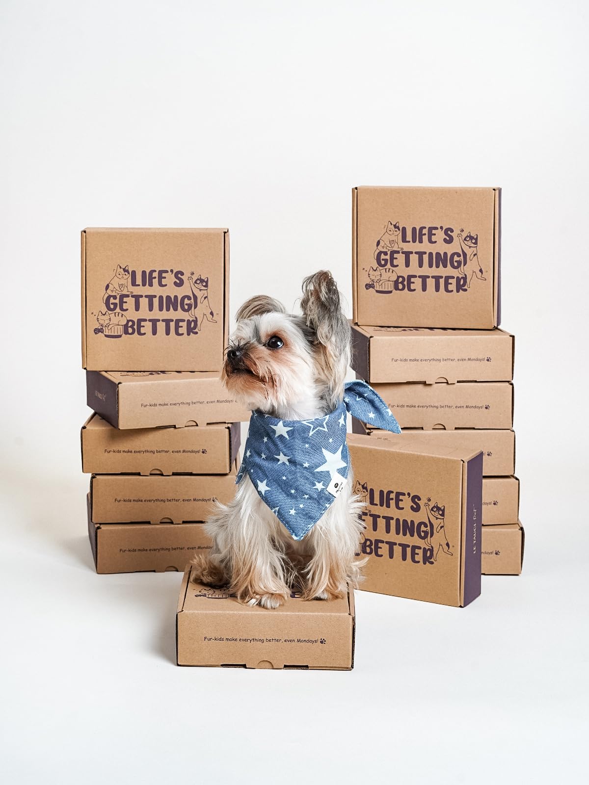 Cuencos de cerámica de alimentación lenta para perros de raza pequeña, plato de comida para perros de 0.5 tazas para comedores rápidos, cuenco de rompecabezas para perros y gatos pequeños, 5.5