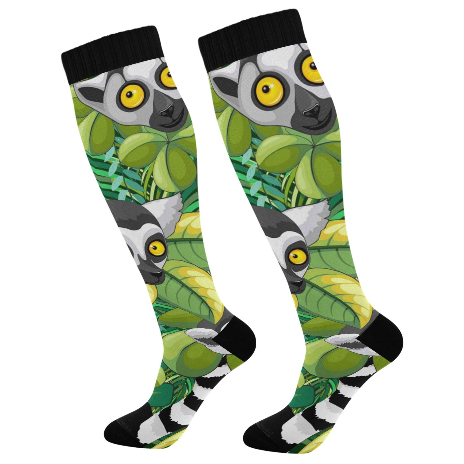 Puxuqu Women's Multicoloured Tropical Lemur Leaves Men' ' Over Knee Thigh High Long Socks 1 Pack