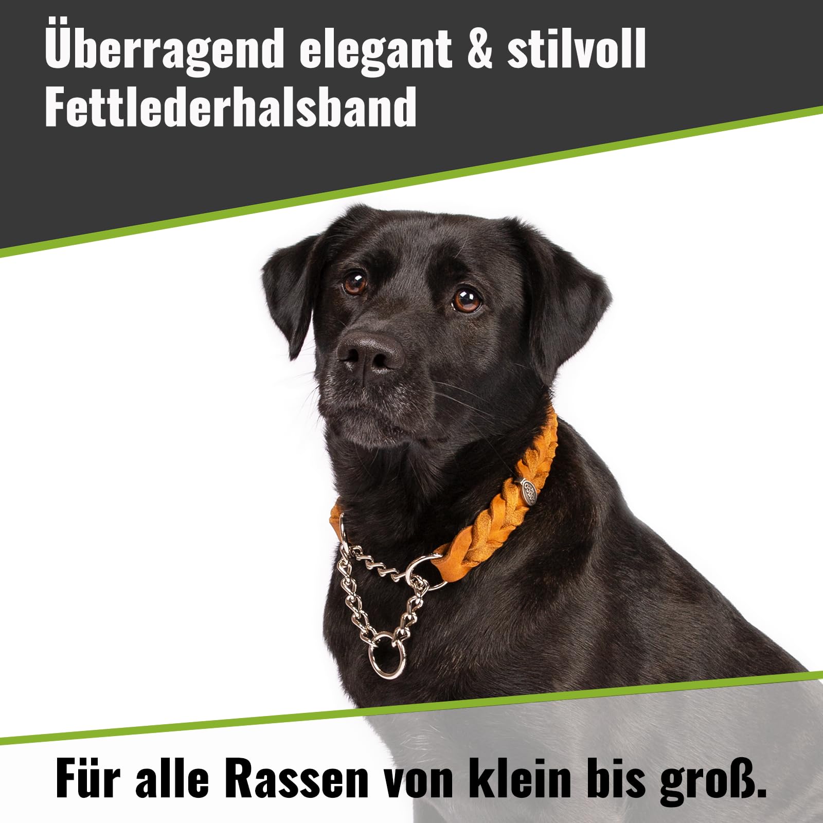 CopcoPet Fettleder Halsband 35–40cm x 20mm Cognac – Geflochten mit Zugstopp-Kette – Robust & weich – Verchromte Kette – Lederhalsband für kleine Hunde, Training & Alltag