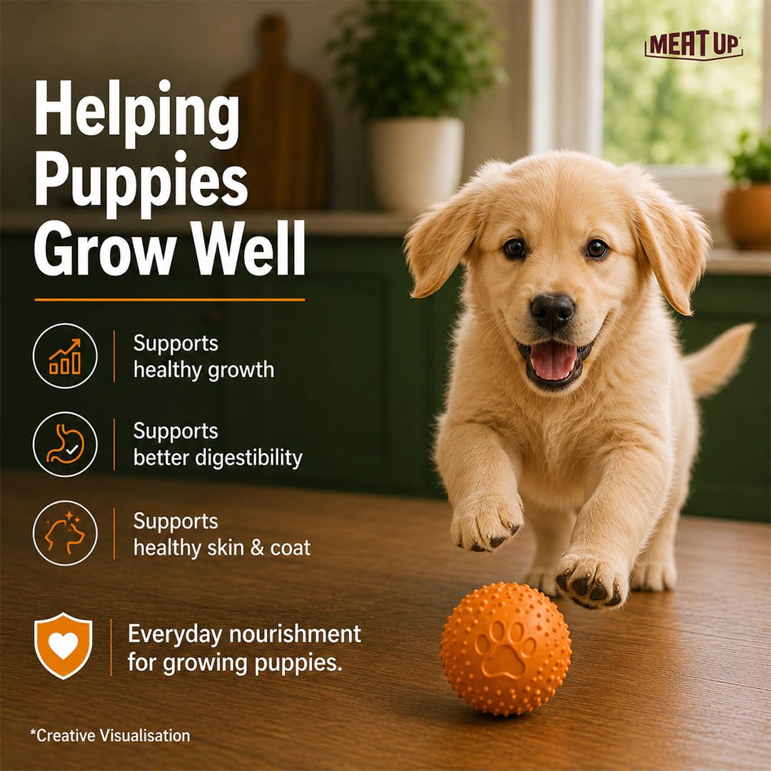 Meat Up Puppy Wet Dog Food, 16 Pouches × 70g, Total 1.12kg | Real Chicken in Gravy | Complete & Balanced Meal | Supports Digestion & Vitality 1