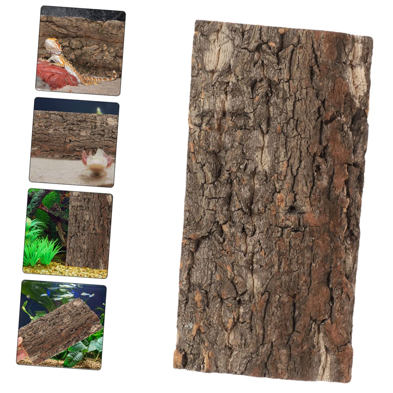BESPORTBLE 10piezas Reptile Bark Backdrop para y Terrarios Natural De para Decoración De Peceras y Reptiles y