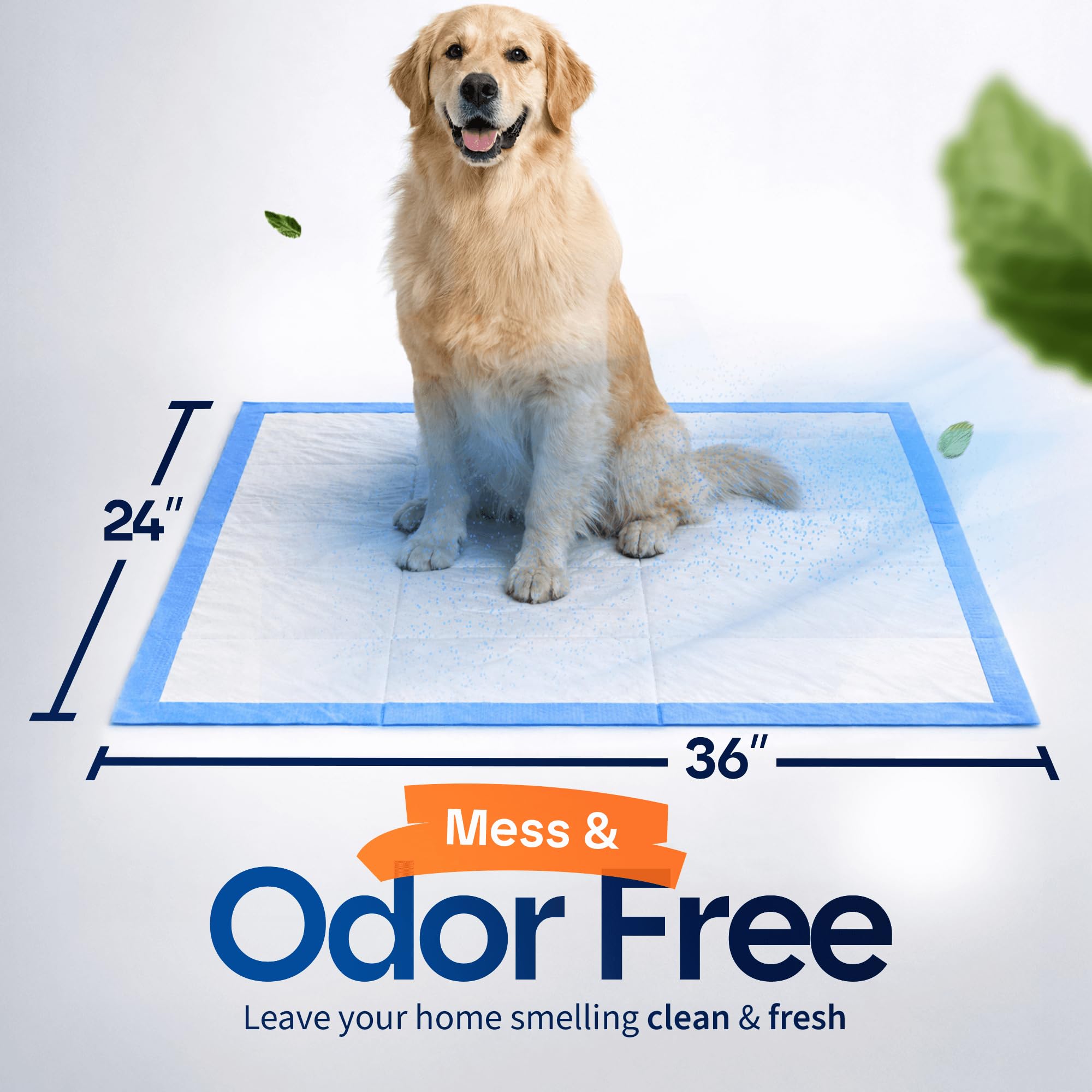 Healqu Cuscinetti per cuccioli, 50 pezzi, 23 x 24 cm, tecnologia avanzata a tenuta stagna per la rottura della casa e l'addestramento, ultra assorbenti, ideali per cani, cuccioli e gatti