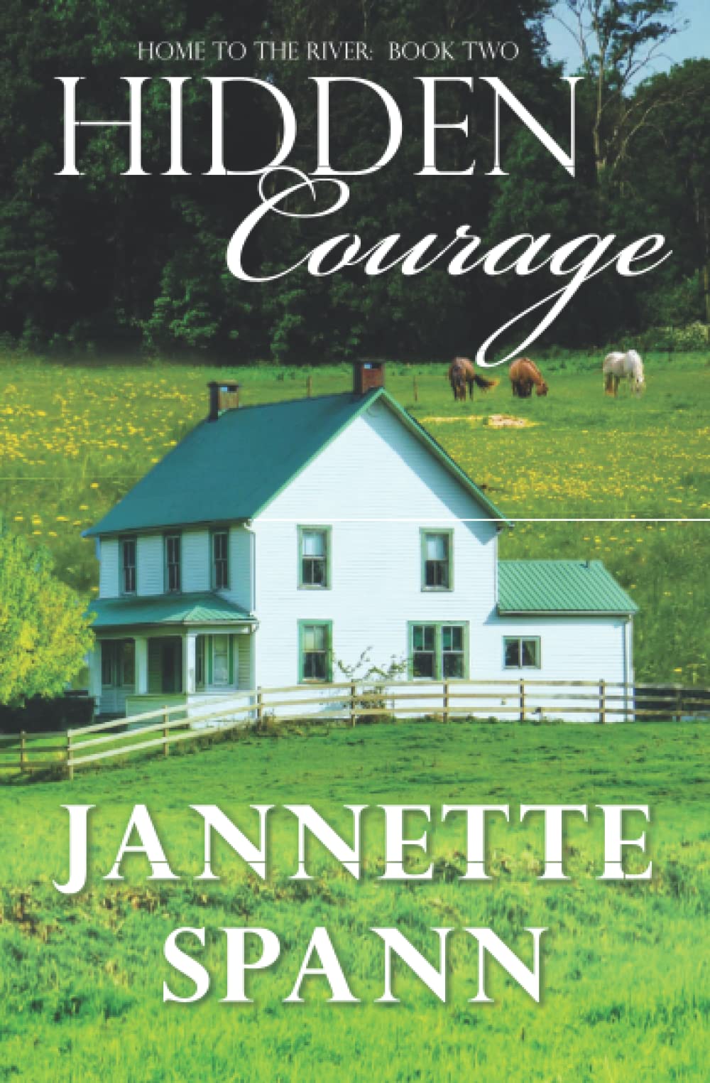 Hidden Courage (Home to the River Series)