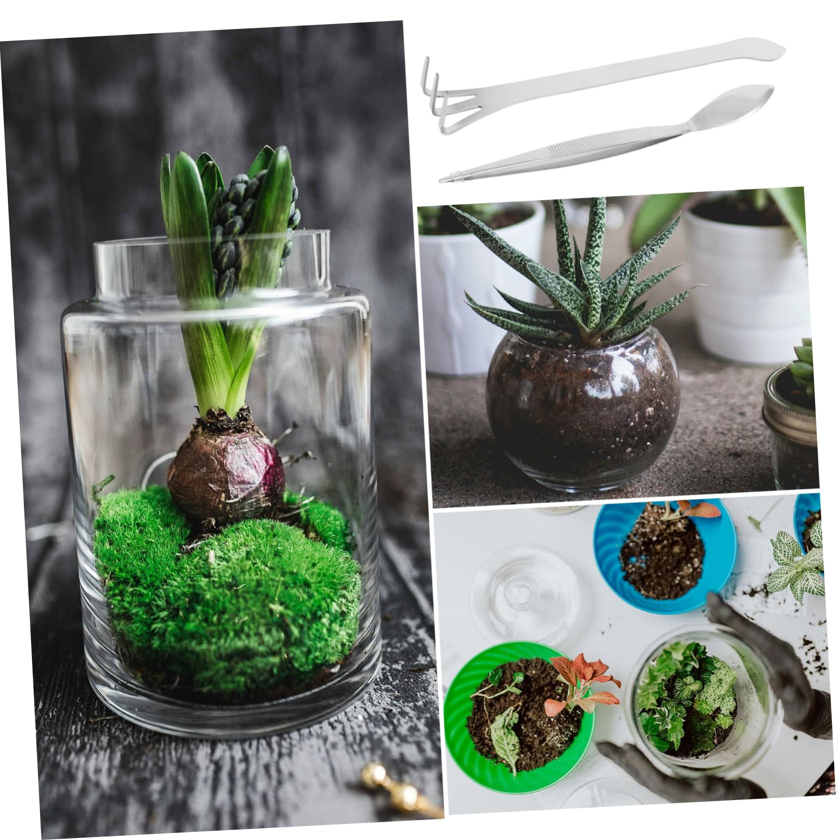 Mipcase Stainless Steel Bonsai Tweezers Gardening Rake Tweezers Root Rake Bonsai Supplies