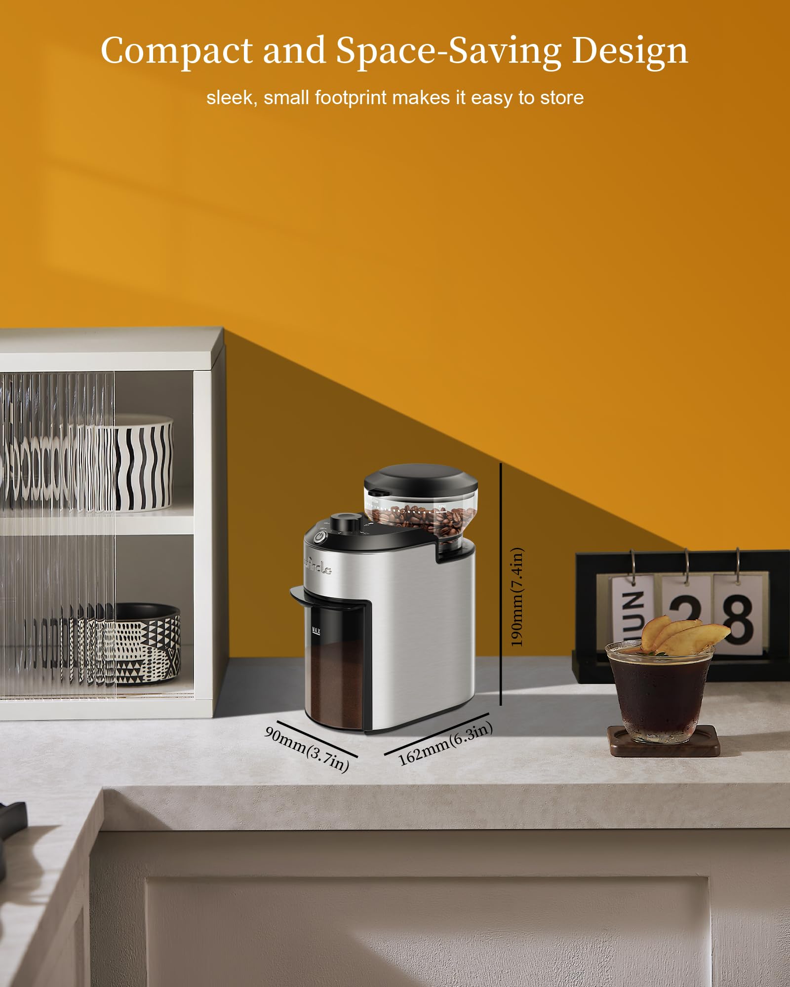 Moulin à Café à Meule Wancle 200W avec 28 Réglages de Mouture, Protection Contre la Surchauffe, Capacité de 2 à 12 Tasses, Design Compact pour un Rangement Facile, Acier Inoxydable, 220V