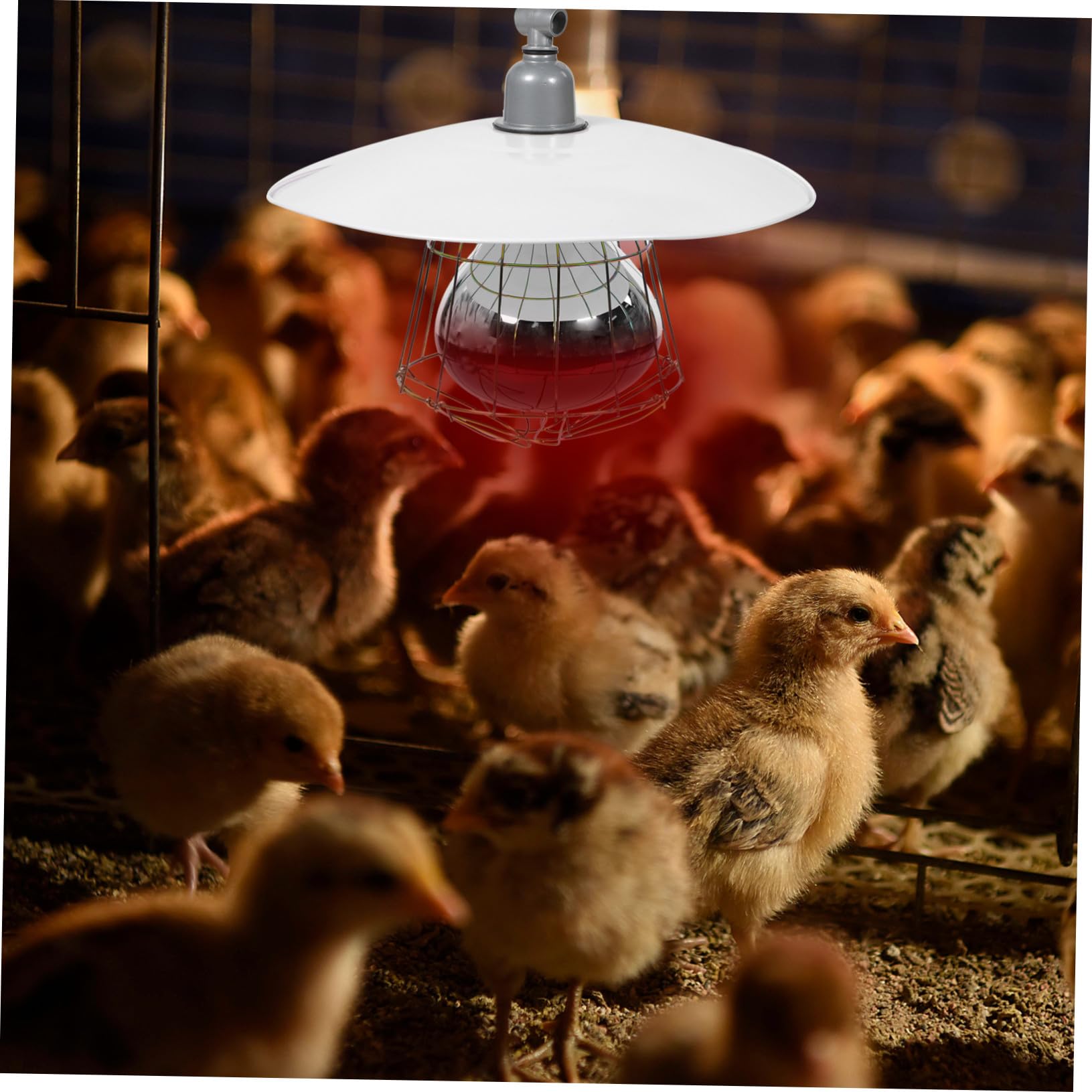 VICASKY 2 Pezzi Lampada Riscaldante per Gabbia Animali da Allevamento con Copertura in Metallo Accessorio Termico per Porcellini e Rettili Funzionamento Facile e Alta Efficienza Termica