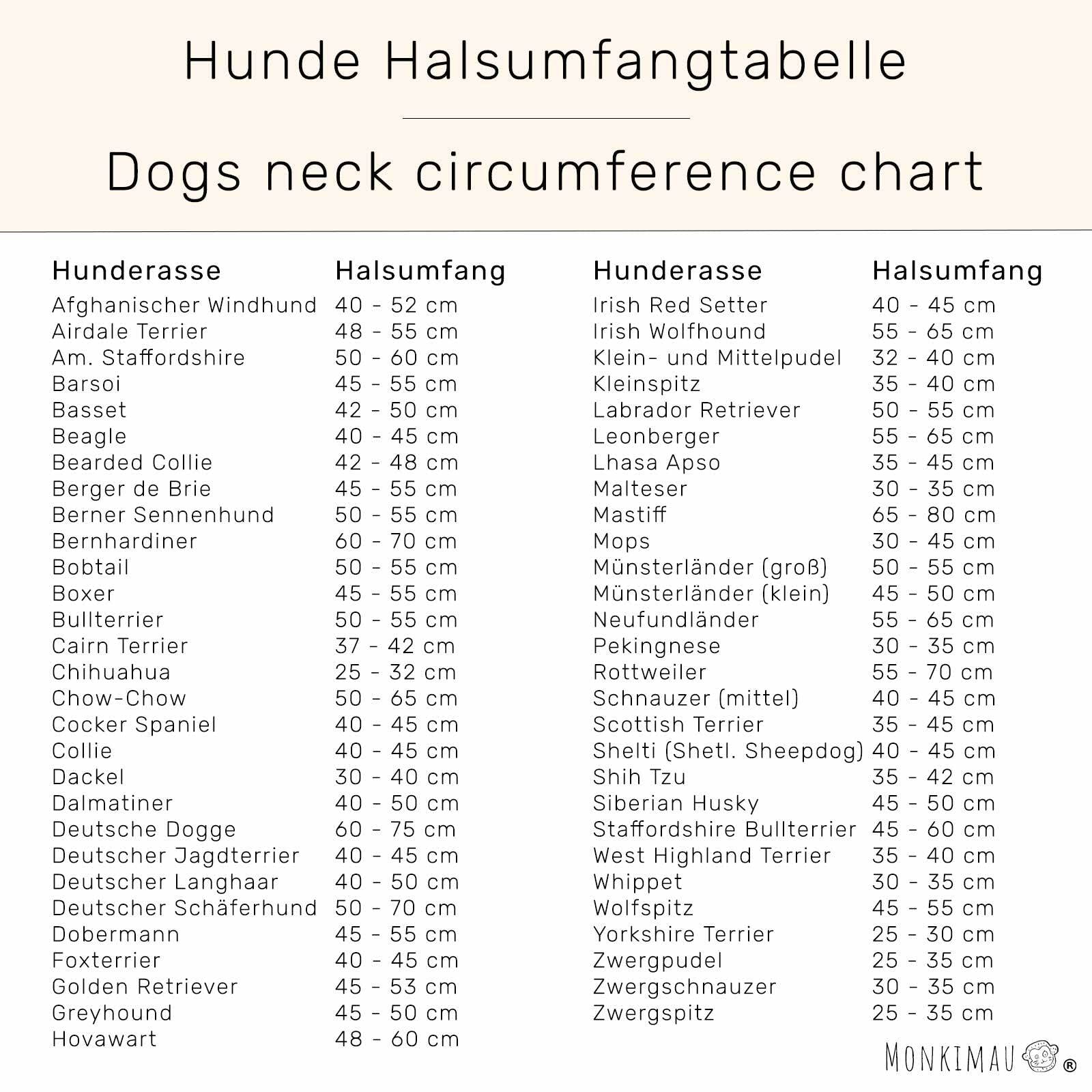 Monkimau Halsband Hund echt Leder Hunde Halsbänder braun gepolstert mit Kristallen Lederhalsband verstellbar Dog Collar Hundehalsband (XS-S: 20mm x 40cm)