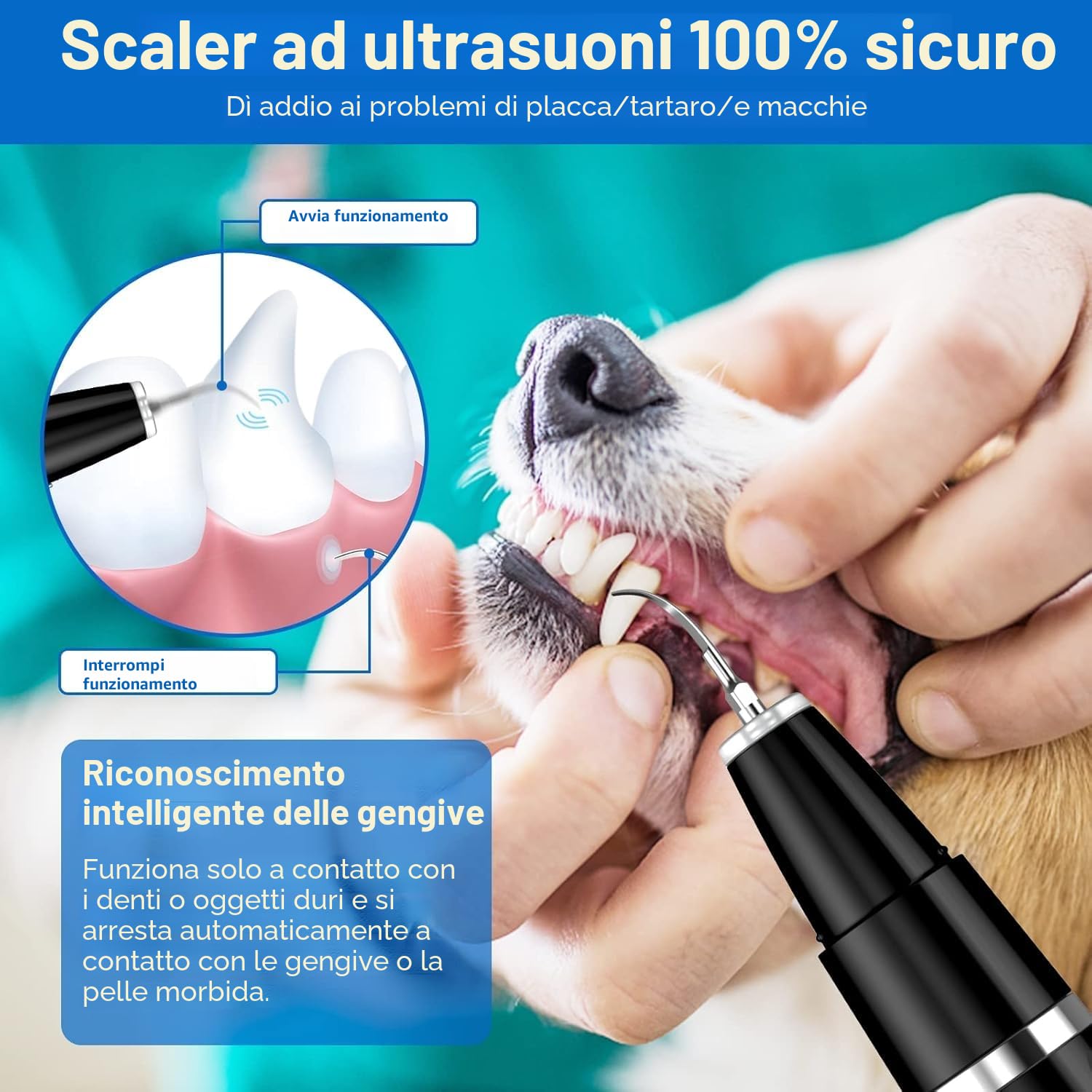 Ni-SHEN Kit per la rimozione della placca Dentale, per la Pulizia dei Denti a ultrasuoni per Animali Domestici, per tartaro e Macchie, Adatto per Cani e Gatti (Nero)