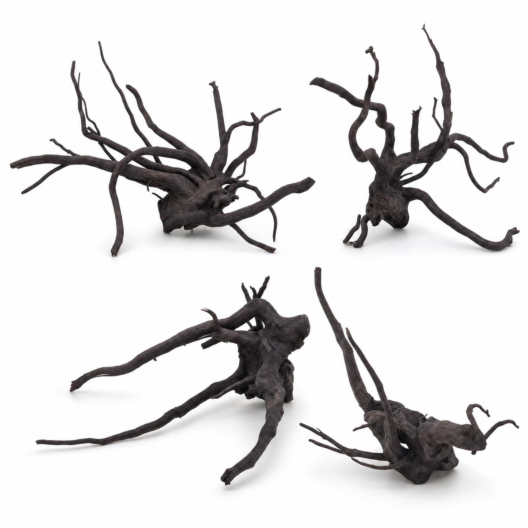 AquaOne Aquarium Wurzel Black Spider L 35–50 cm, Moorkienholz schwarz gefärbt, filigran verzweigt, für Aquascaping & Aufsitzerpflanzen, handverlesenes Unikat für Süßwasseraquarien und Terrarien