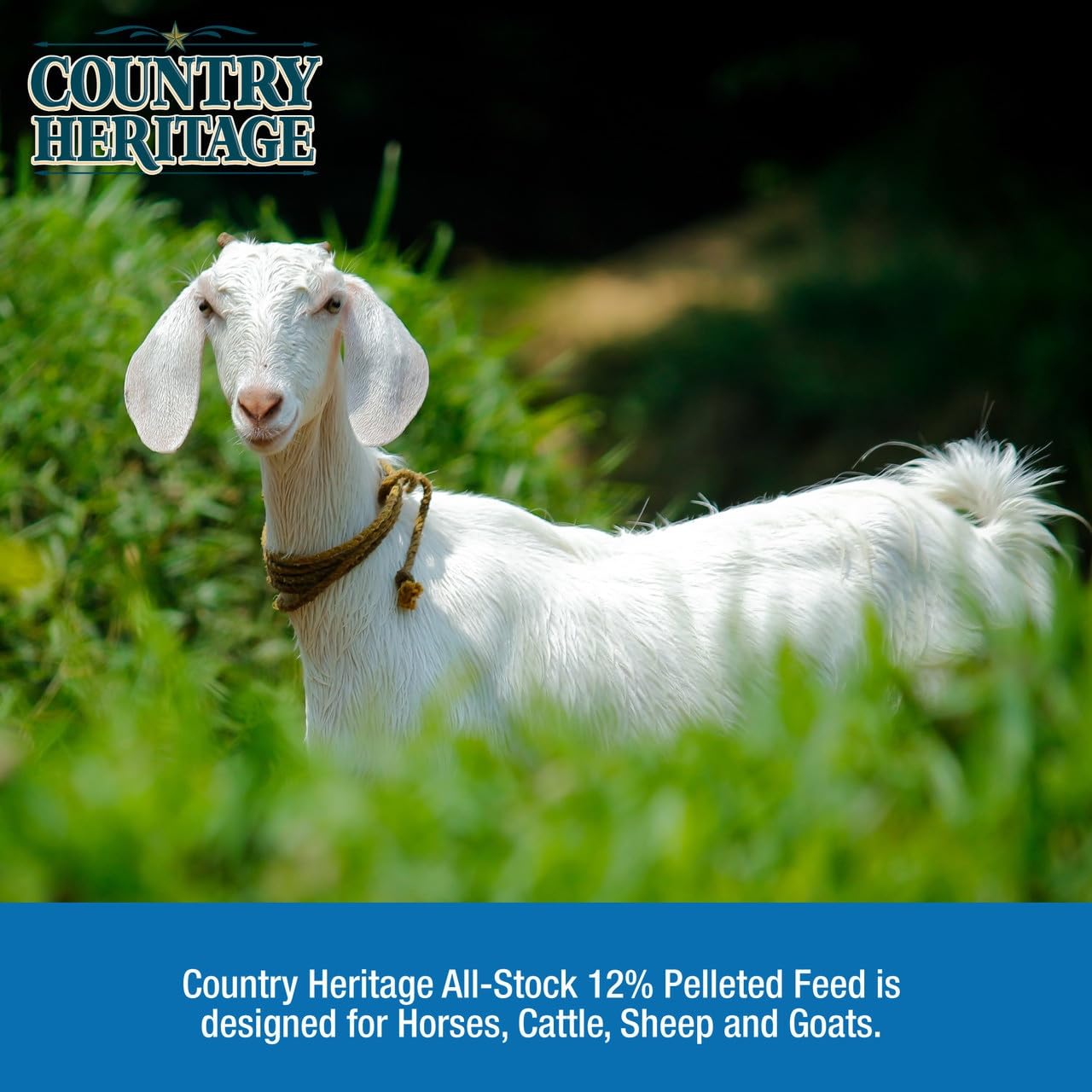Country Heritage All Stock 12% Protein Textured Feed Multipurpose Diet for Horses, Cattle, Sheep and Goats 50 Pounds