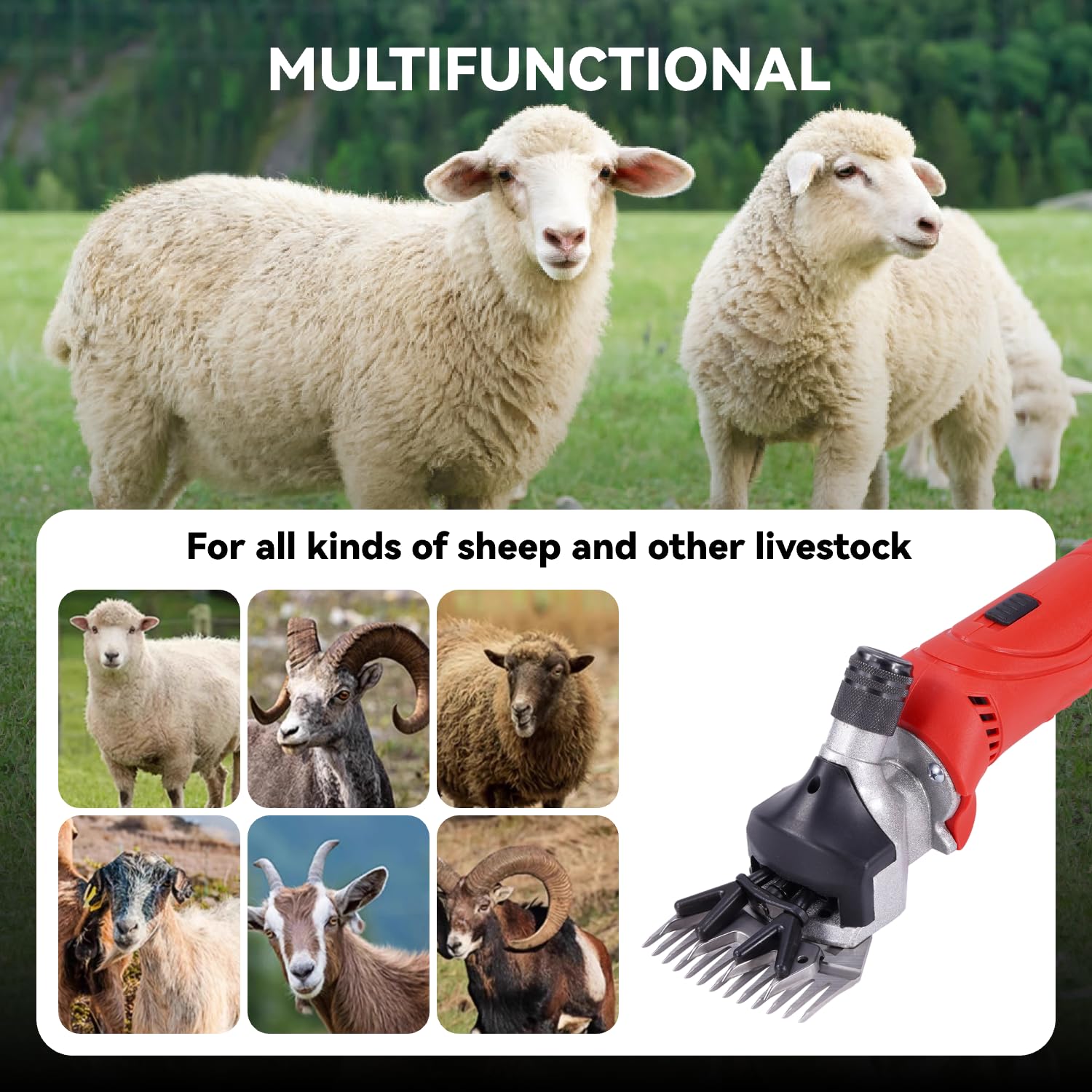 ONEVAN Tosatrice per pecore a batteria, tosatrice elettrica 500 W, 6 impostazioni di velocità, tosatrice elettrica a 13 denti, 2 batterie 3,0 Ah, tosatrice a batteria per pecore, alpaca (Rosso)