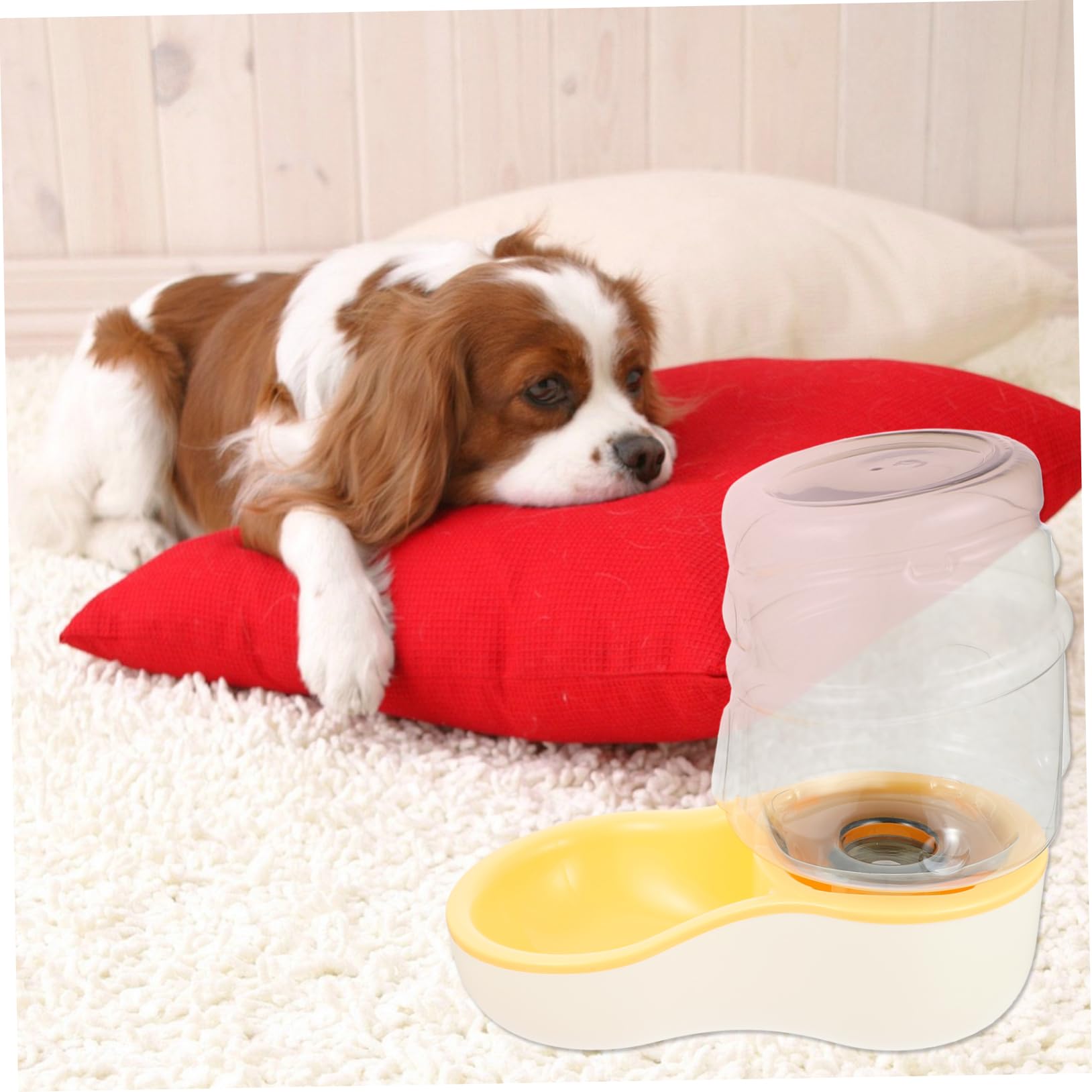 WOONEKY 1pezzi Ciotola Per Domestici Distributore Slanting Design e Antiscivolo Per Facile Utilizzare e Manutenere